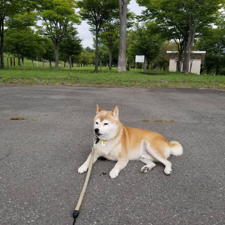 4c3dee81 3c37 4e39 bf2b 7244edfabbd7 1661576374502