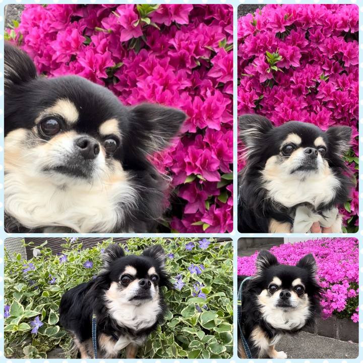 4c3dfbbf 85ce 471c 816a 527ce2f2568f 1713612066077