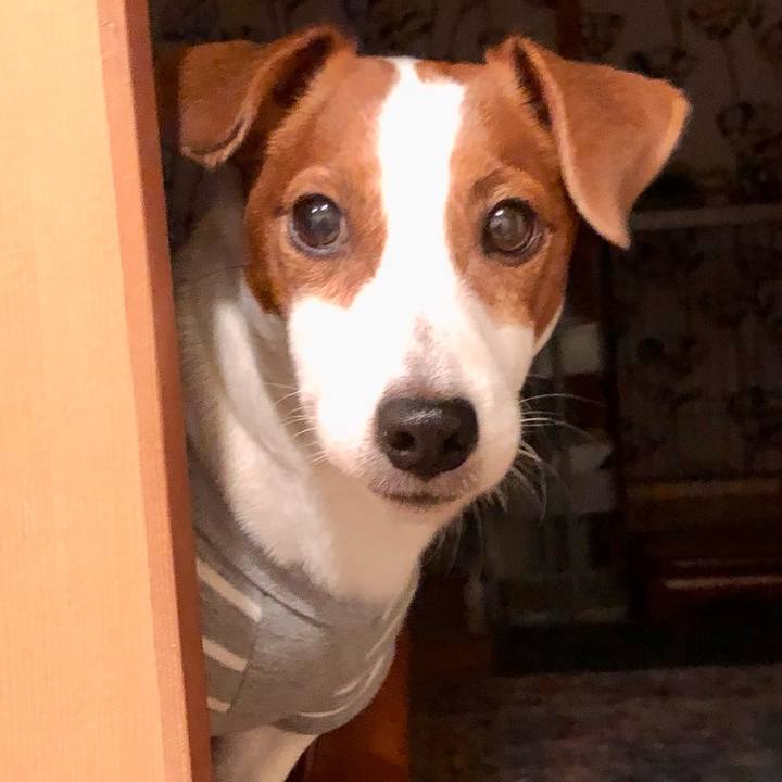 4c3e24ec 4780 471d b6d4 d80caa5d7718 1642930866767