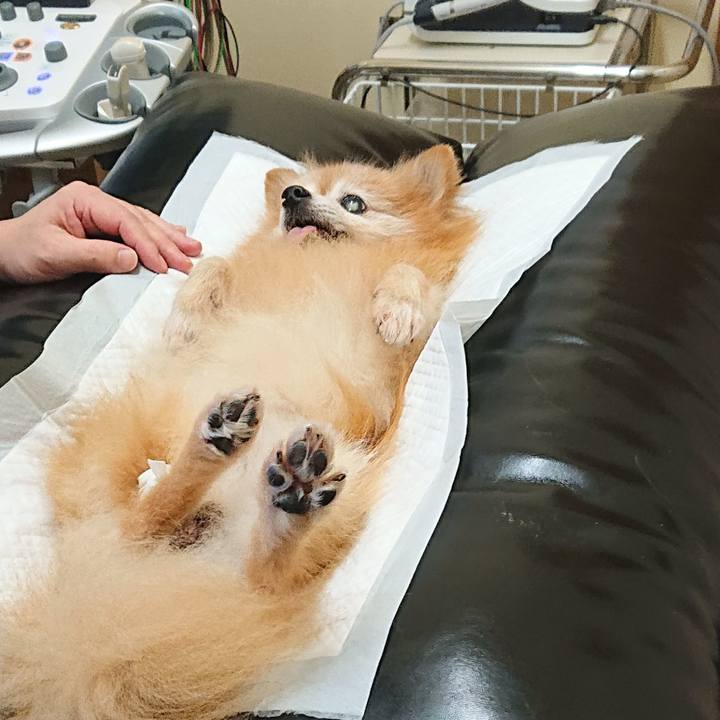 4c3e3071 462b 4d25 aaea 11c948a550a9 1630800561885