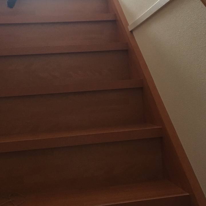 4c3e53cd a2b6 4952 a1e7 a5063536a4c1 1532235302924