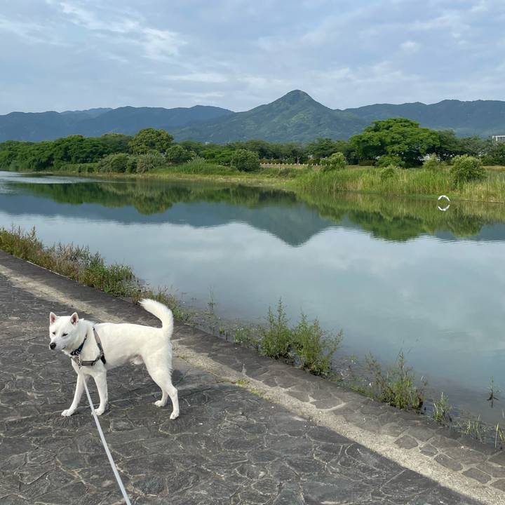 4c3e7740 c155 4a66 9c83 c3cfab43d78d 1716503236892