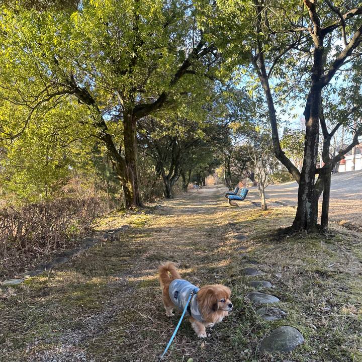 4c3e8950 fdea 4baa bb76 3bdc8420d07b 1739147157635