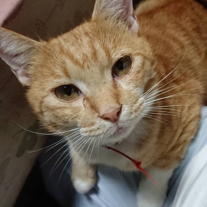 4c3ef4c4 30a8 4090 8fa3 b699f67fca6b 1570355166854