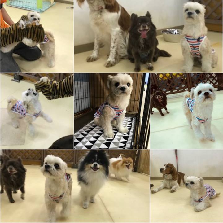 4c3f05bc 36fd 43d9 891f d36b2543ce7b 1555326930397