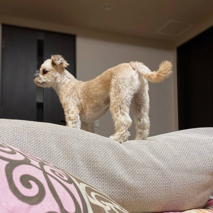 4c3f098c 773e 458d a2cc 9a43a54021e4 1570973237428