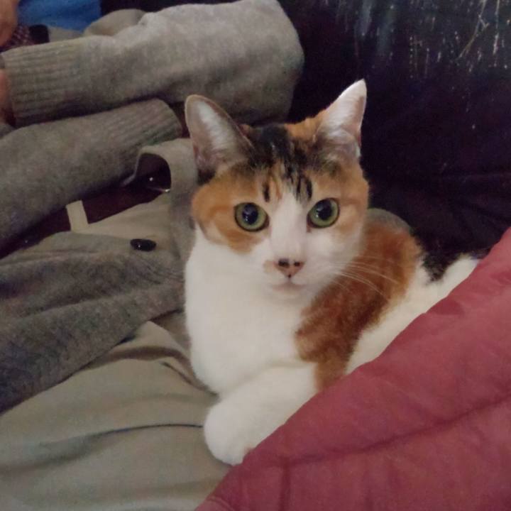 4c3f29db 9b4f 4898 b245 71683edc39d7 1666329536750