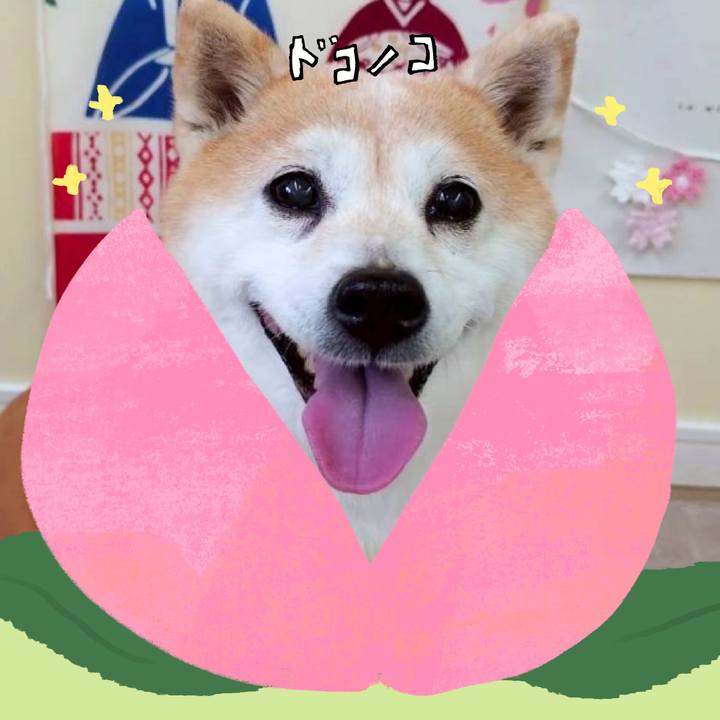 4c3f41b1 2888 4ac2 873f b553e83f7bc9 1771820658292