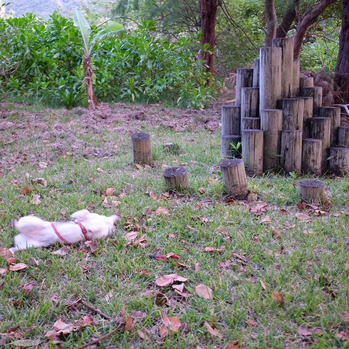 4c3f682e 190d 4320 baca 61d87b5628fd 1572086293067