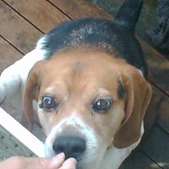 4c3f6b76 71ab 48a5 a6ea a4bd1e1bf6ec 1569800057696