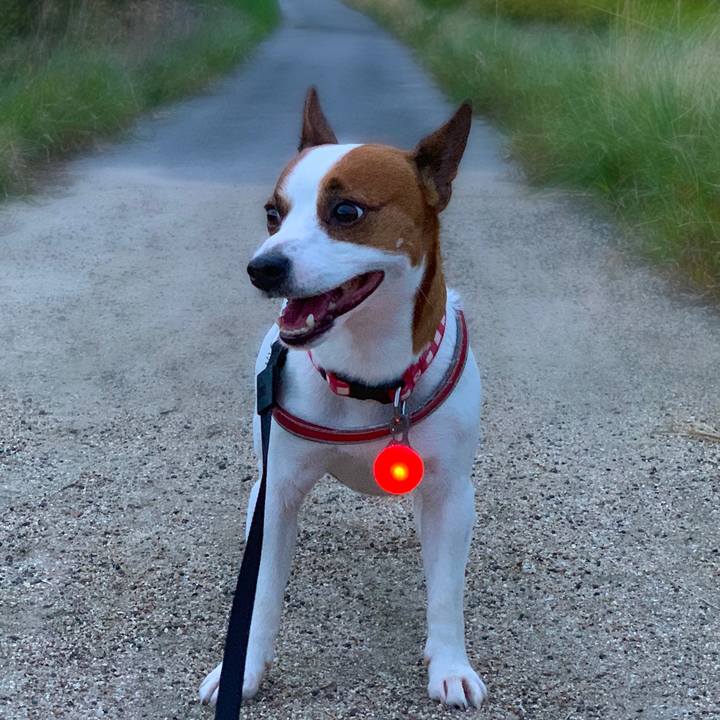 4c3f6f1c eba7 41bc 8904 e69e8ae3c439 1538731732594