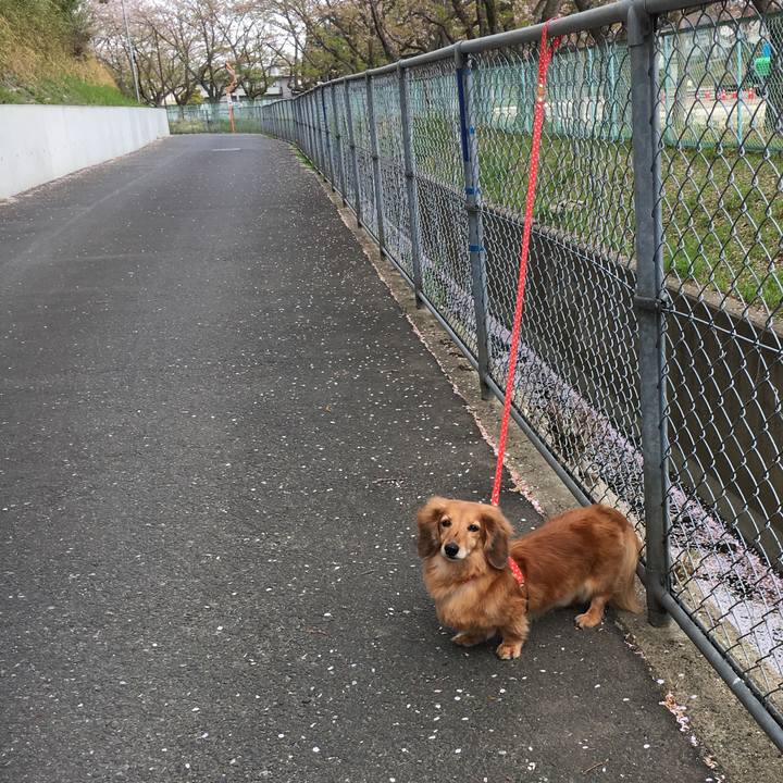 4c3f8870 6305 4e07 a3d2 3f1fd6b882ac 1617622919699