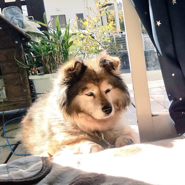 4c3f8d6f c5a1 4d49 a688 8fa2ab61d4dd 1567706102019