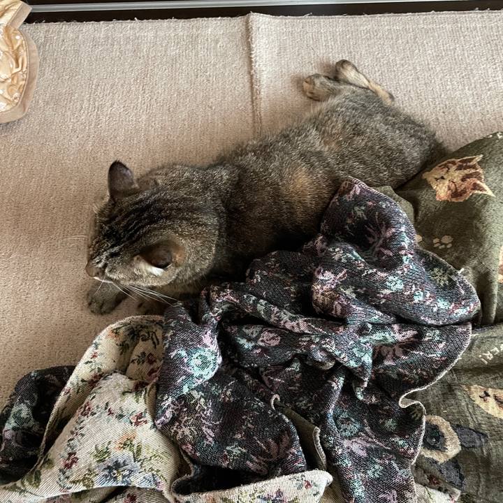 4c3fb77c 84c5 4af6 bb14 bb402423ff87 1754430221054