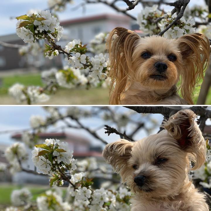 4c3ff5eb 3163 4c1d b0c5 873739198fb0 1589101412796