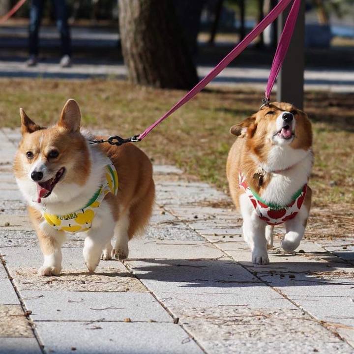 4c4000a5 a51a 4297 8487 4f3d9f026d21 1571392708963