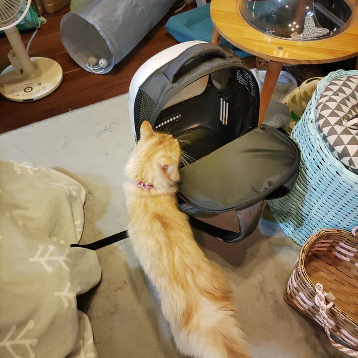 4c402082 f1e1 417f b1a2 b743c58d4082 1668212575493