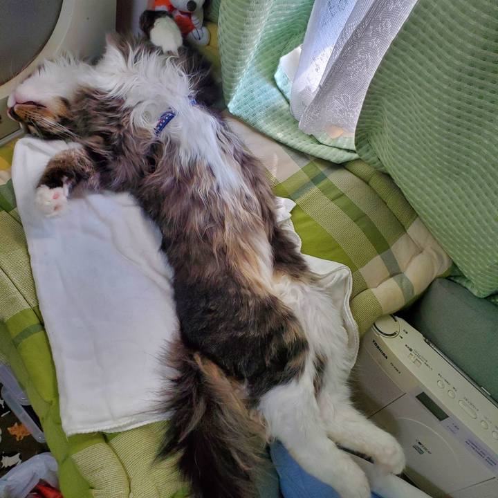 4c409575 2d78 4b59 89a8 d06c8d5f4014 1664451672494