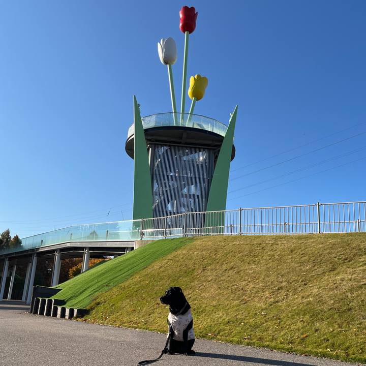 4c409a3b 52d3 4895 a306 2b486e3984a8 1763713404635