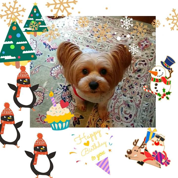 4c40b7cc 13d7 4395 bbbf 5917ccbc2556 1545343068783