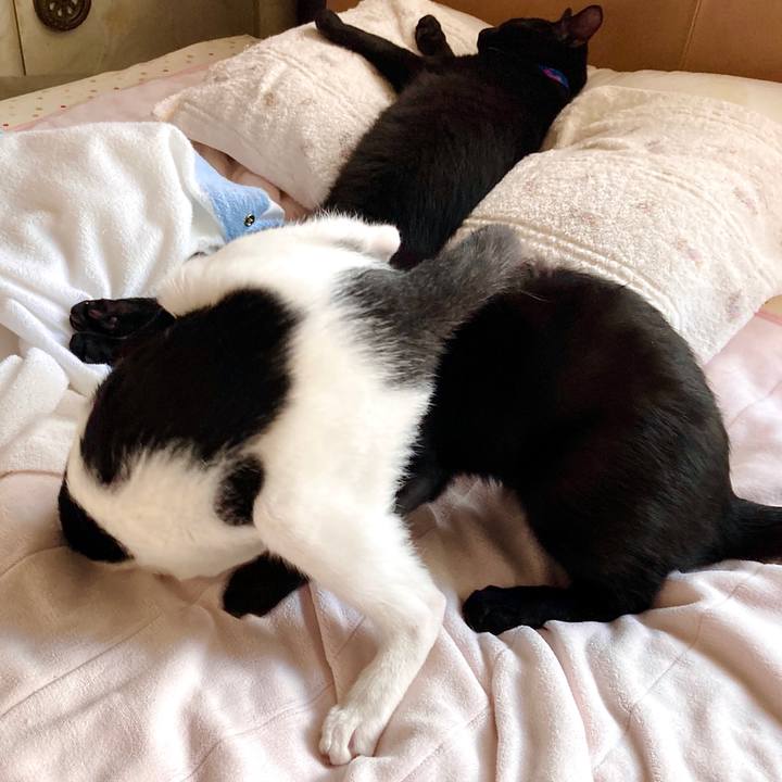 4c414ebb 1f32 4978 aff6 3312adf47006 1634186908045