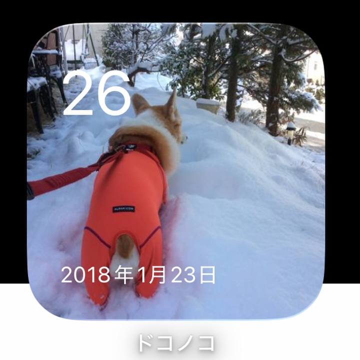 4c4171ad a8b7 4b77 883c e15087aacaec 1769426352434