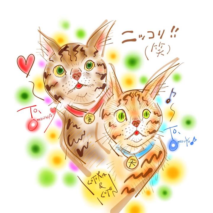 4c419e7a 78ad 4e43 b8bd dfcfb8aa7ebf 1624575109503