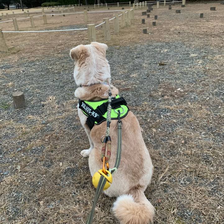 4c41a95c 0f04 4c80 8f5f 6ff6c2bbd816 1549876001967