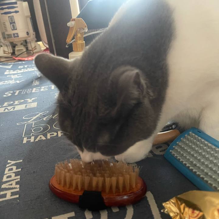 4c41c459 3994 4cb3 85ac cb135bb8f5eb 1733620679343