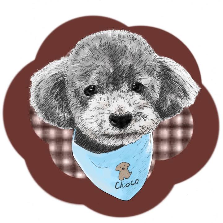 4c41c85a 4cdd 4bde 8704 c44aec107b5f 1571756002081