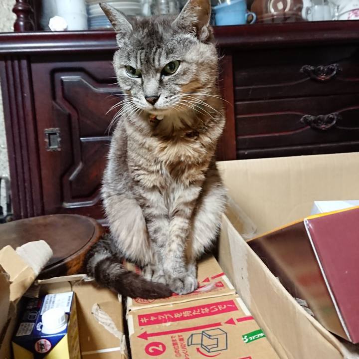 4c420da1 4d50 40d8 9fc3 2304658a0b3a 1567543667159