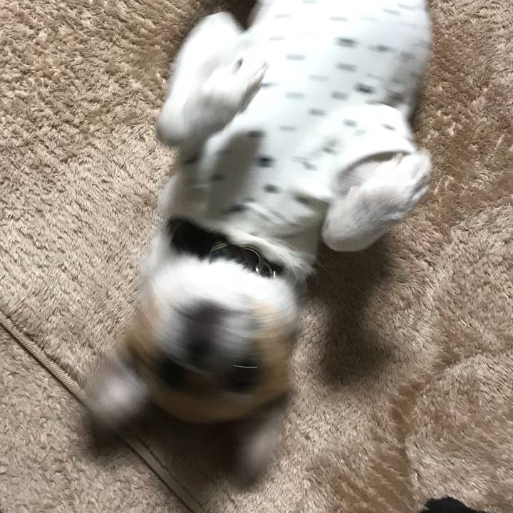 4c423cb7 ec6e 4b74 ba26 e76641b4c325 1542151192848