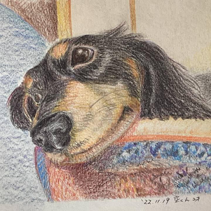 4c426f8b 344e 46b5 b65a 764cdc255814 1669001778615