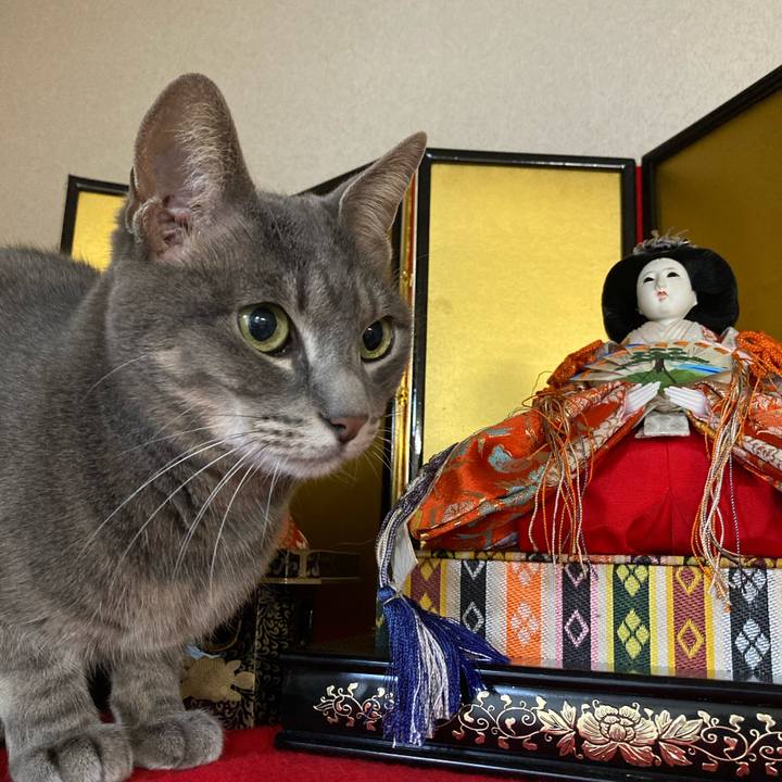 4c42a0f4 67b0 4e85 ad2b 96ae7c4b8674 1709129431956