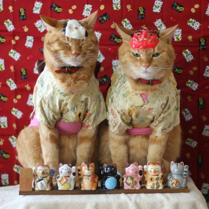 4c430e9a 3507 4262 8fb3 78563e2d8aae 1517532028123