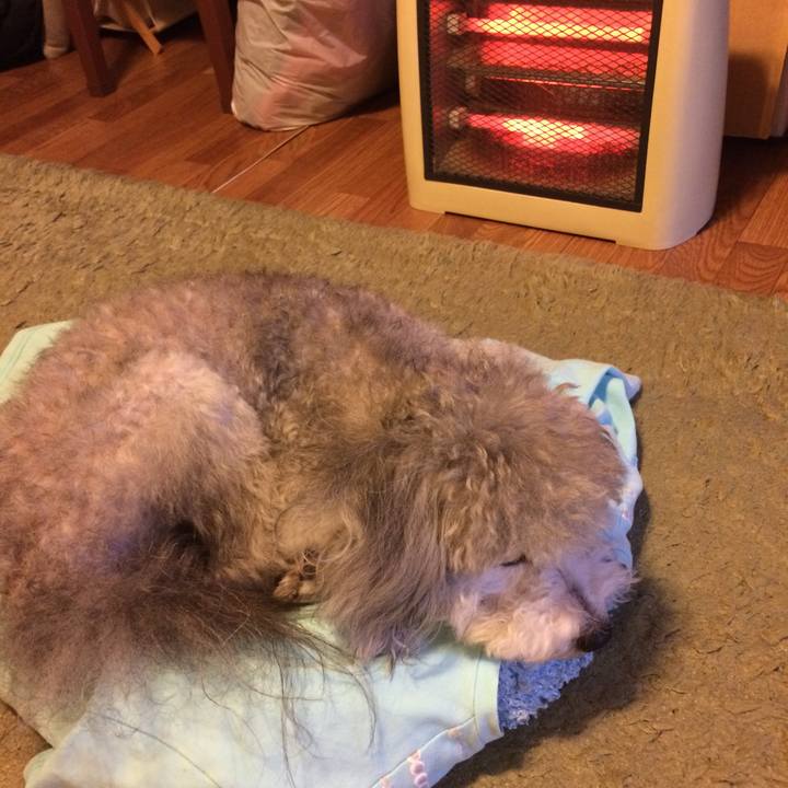 4c439184 a0ac 45d5 9543 561ef899ed4e 1512137060217