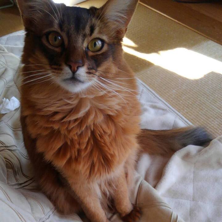 4c43ba70 3f6b 4ff6 a006 c07a5d97181a 1618188152343