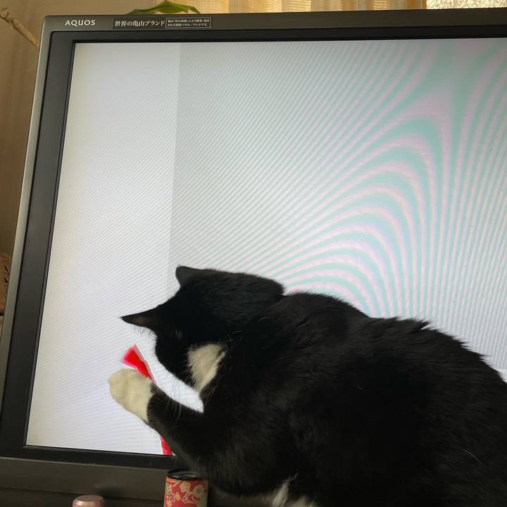 4c43c729 024a 4f4f b9c7 b318be0732ec 1716284268499