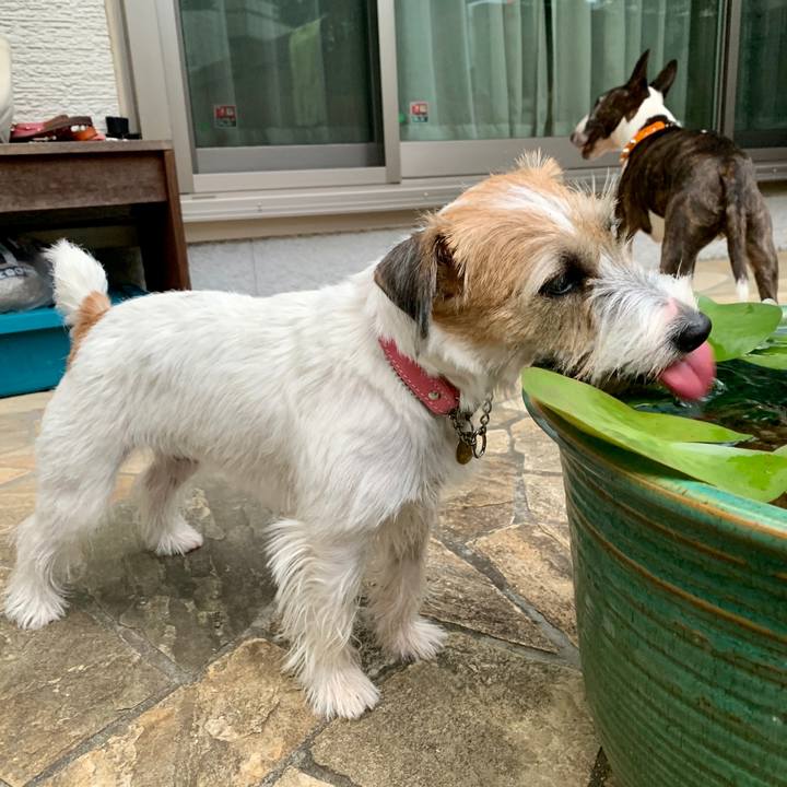 4c43d127 e0b8 441b b873 ce356ab862d4 1601716415717