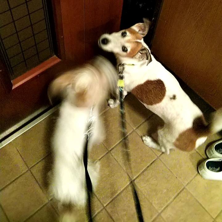 4c43d7f0 4da2 42cd 9387 fd7b7fd1cddf 1530482786908