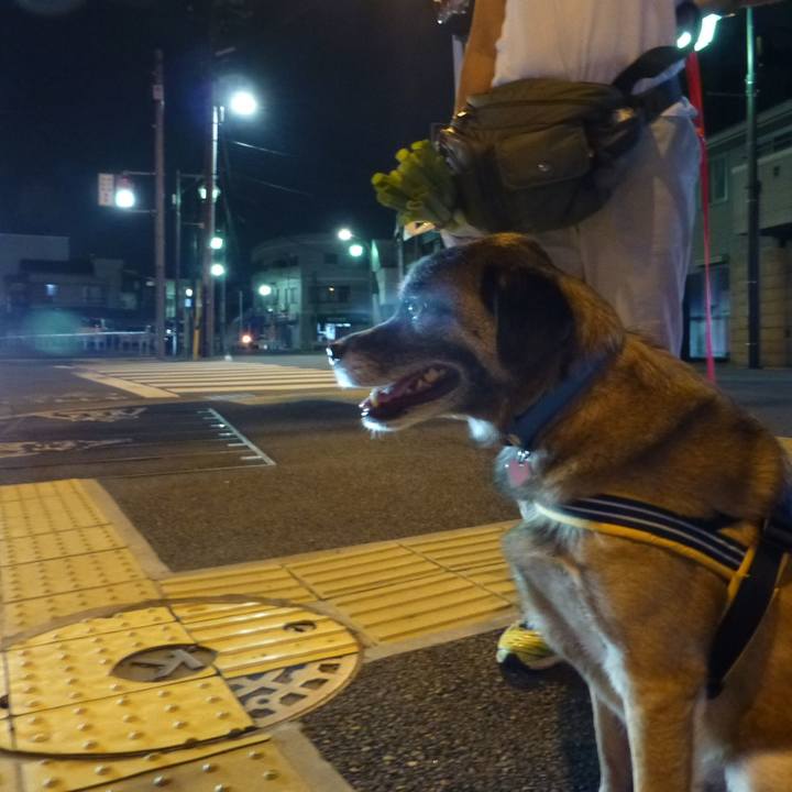 4c43e506 4f09 4583 8951 f5d3cfc4707f 1580635541189