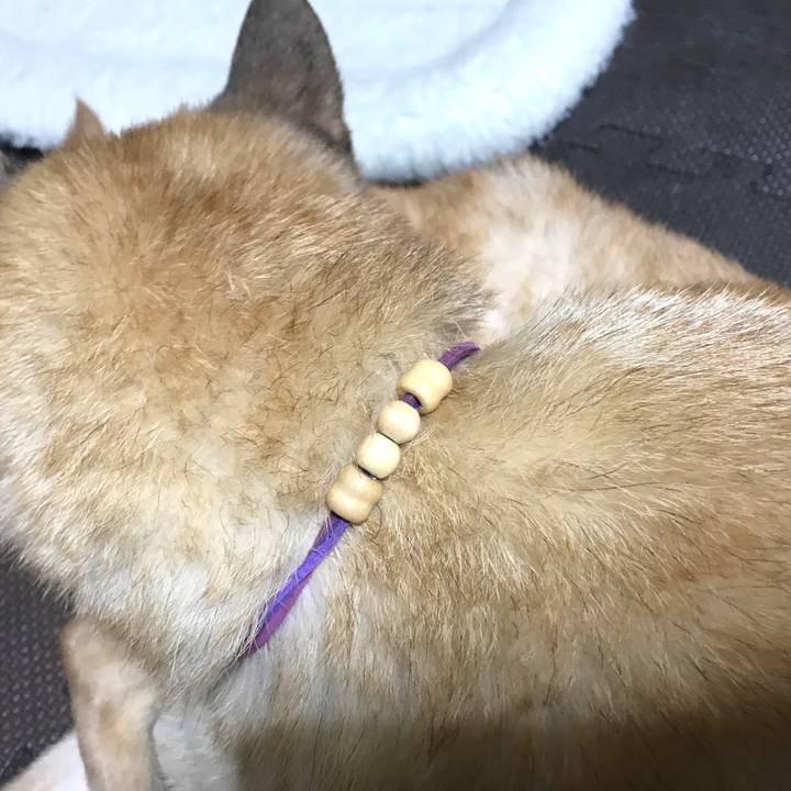 4c43fe49 4a25 4672 bceb b7fd395db5ec 1562845392745