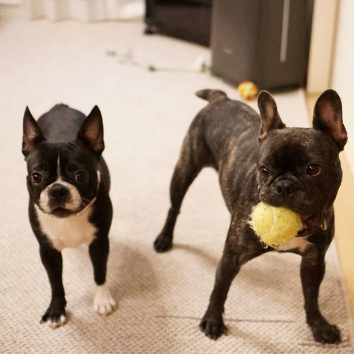 4c44ac2f 74ac 4635 af1f 97e330d9edc3 1558354596196