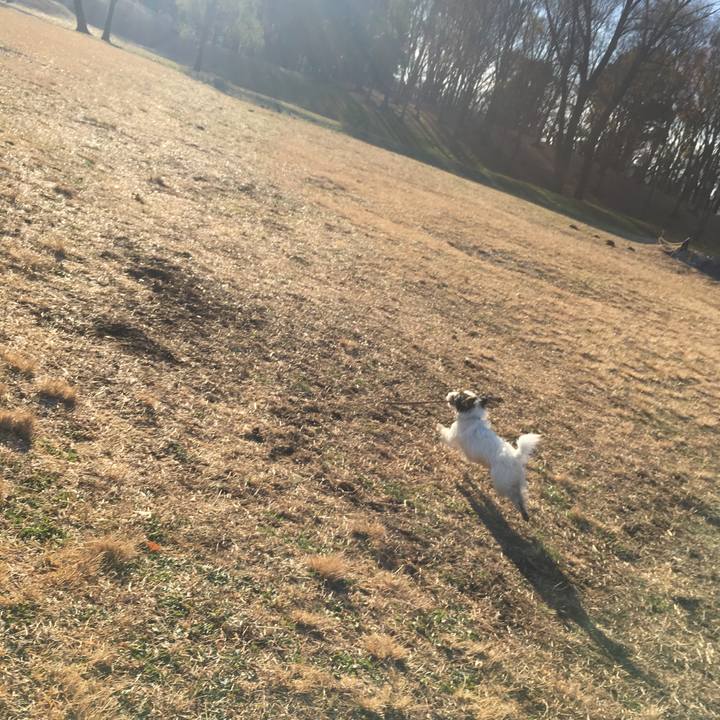 4c44cbe1 eb8c 49fe a6f2 098e55b4ede6 1512869505794