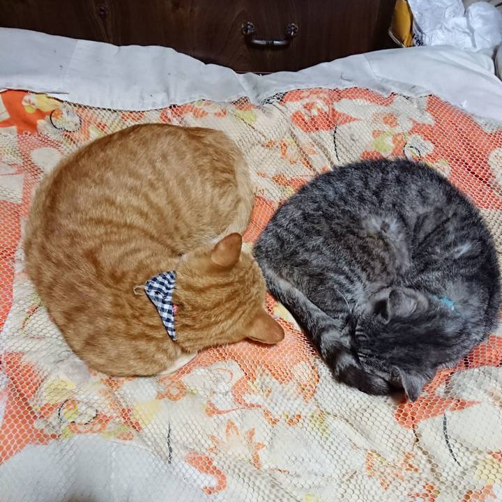 4c44e845 6e75 4d8f a790 238d242d228d 1571578382915