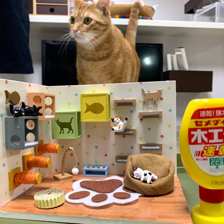 4c44fe25 a371 46f8 9015 646c044579a2 1579431963189