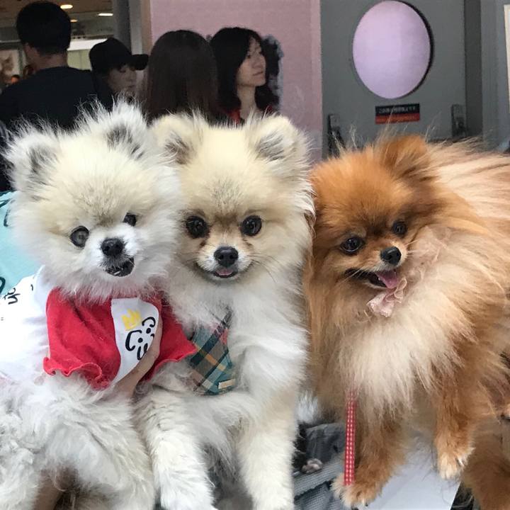 4c4543eb 0f4e 4815 9b1d 339d5eec384b 1566713090652