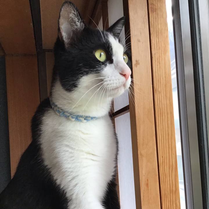 4c4545fb 29a3 4983 a4ed dc7ac0fa481f 1688129865791