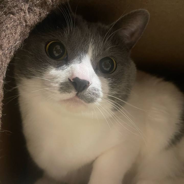 4c45c606 36e1 490c ade2 05917d995eed 1680271547130