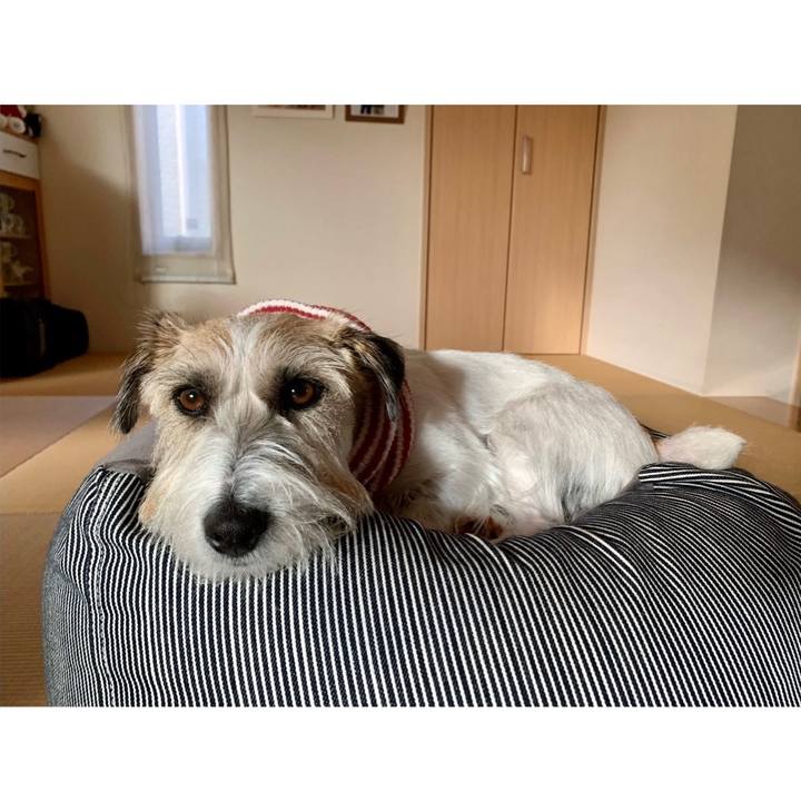 4c45e1b9 afaf 4eea 8a1f a9f08031dae1 1668554226232